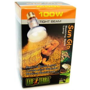 Heat for a Bearded Dragon