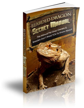 The Bearded Dragon Secret Manual