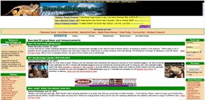 beardeddragon dot org