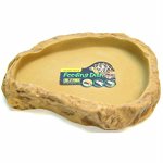 Bearded Dragon Feeding Dish